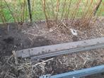 Ecoborder, Tuin en Terras, Bielzen en Borduren, Ophalen, Kunststof, Gebruikt, Border