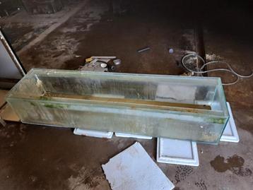 Aquarium  beschikbaar voor biedingen