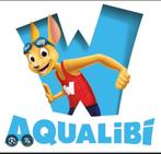 5 entrées aqualibi, Tickets & Billets, Trois personnes ou plus, Ticket ou Carte d'accès