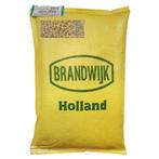 levensmiddelen Bruine Gewone Linzen 10kg noodrantsoen prep, Enlèvement