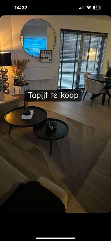 Velvet Tapijt beschikbaar voor biedingen