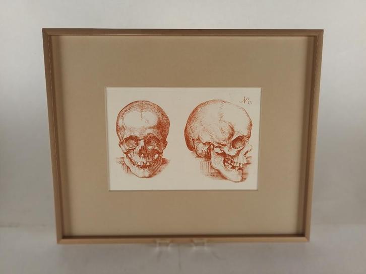18de eeuwse ets studie schedel in kader- G. Smith, Antiek en Kunst, Kunst | Etsen en Gravures, Ophalen of Verzenden