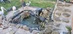 Bassin  1000 lavec pompe deco plante, Tuin en Terras, Vijvers, Ophalen, Zo goed als nieuw