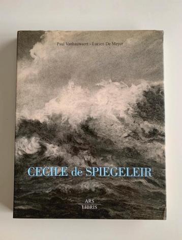 Cecile de Spiegeleir, Een spiegel van een ziel, Paul Vanhauw, Enlèvement ou Envoi, Comme neuf, Peinture et dessin