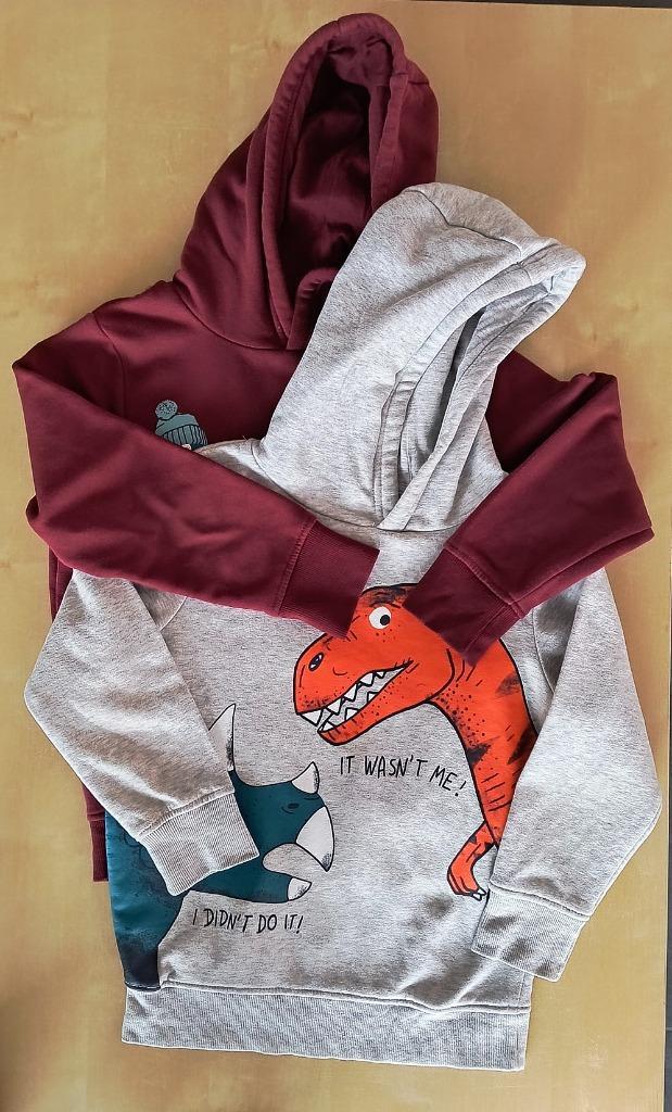 Set van 2 mooie hoody's dino's, maat 122, Enfants & Bébés, Vêtements enfant | Taille 122, Comme neuf, Garçon, Pull ou Veste, Envoi