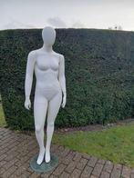 Vitrine Pop, Enlèvement ou Envoi