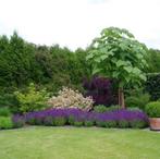 Tuinman gezocht?, Tuin en Terras, Ophalen