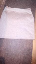 Rok maat 46, Kleding | Dames, Rokken, Maat 46/48 (XL) of groter, Ophalen of Verzenden, Grijs, Gedragen