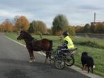 Shet/A/B pony set incl tuig, zadel, koets,.., Dieren en Toebehoren, Paarden en Pony's | Hoofdstellen en Tuigage, Ophalen