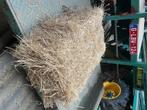 Kleine balen hooi ( 1,5 euro per stuk ), Dieren en Toebehoren, Dierenvoeding, Ophalen of Verzenden, Vee