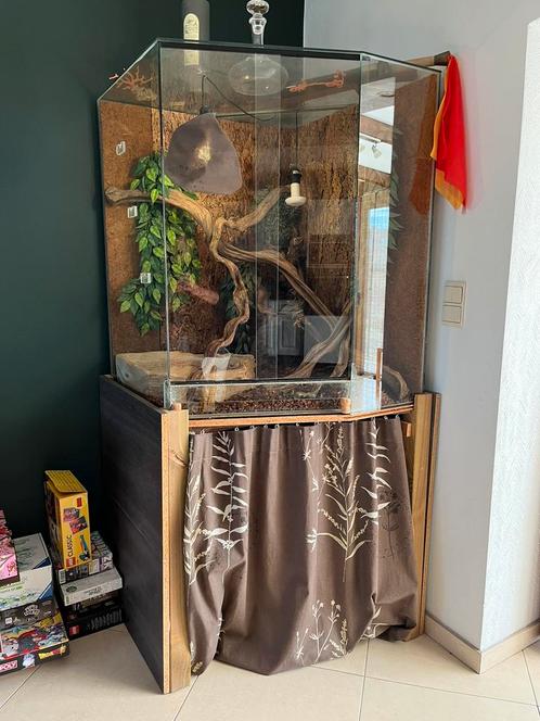 Prachtig terrarium compleet met meubilair, Dieren en Toebehoren, Reptielen en Amfibieën | Toebehoren, Gebruikt, Terrarium of Paludarium