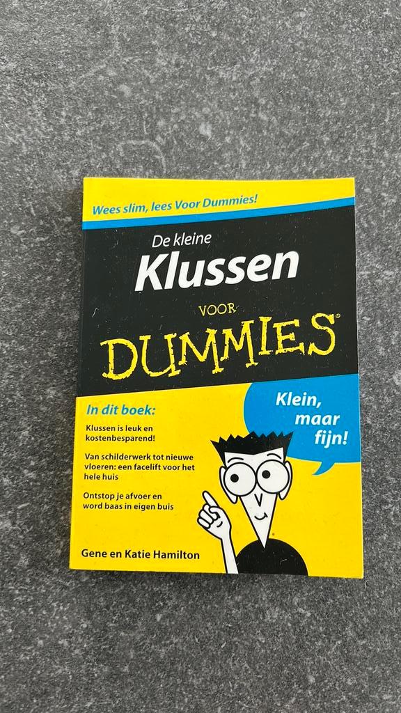Gene Hamilton - De kleine klussen voor Dummies, Livres, Loisirs & Temps libre, Enlèvement ou Envoi