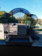 Groote kooi en heel proper, Dieren en Toebehoren, Ophalen