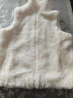 Bodywarmer maat L, Kleding | Dames, Bodywarmers, Ophalen of Verzenden, Zo goed als nieuw, Maat 42/44 (L)