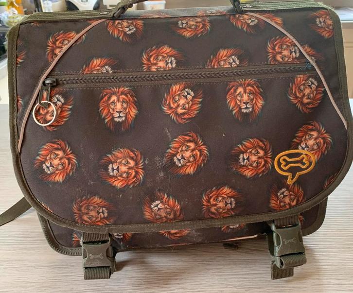 Boekentas, Handtassen en Accessoires, Tassen | Schooltassen, Gebruikt, Rugtas, Groen, Ophalen of Verzenden