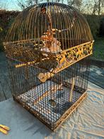 Vogelkooi, Dieren en Toebehoren, Ophalen, Zo goed als nieuw, Vogelkooi