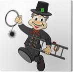 Nettoyage poêle cheminée ramonage, Enlèvement ou Envoi, Poêle