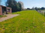 Te huur: ongeveer 2500m2 weiland met evt stal, Dieren en Toebehoren, Stalling en Weidegang