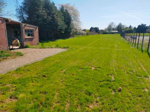 Te huur: ongeveer 2500m2 weiland met evt stal, Dieren en Toebehoren, Stalling en Weidegang