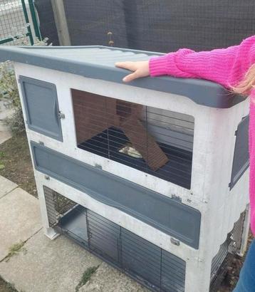 Groot konijnenhok  beschikbaar voor biedingen