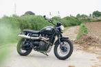 Triumph Scrambler 900 / 5600km, Particulier