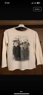 wit t-shirt lange mouw met motief, zara, maat 152 11-12 jaar, Kinderen en Baby's, Kinderkleding | Maat 152, Gebruikt, Meisje, Ophalen of Verzenden