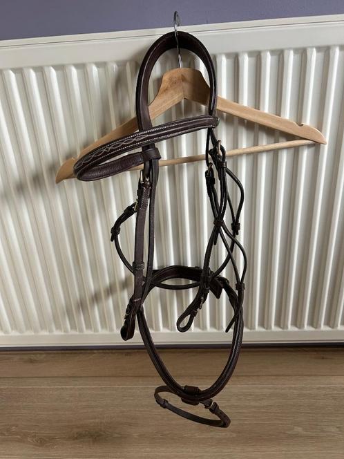 Hoofdstel bruin met teugels: 30 euro, Dieren en Toebehoren, Paarden en Pony's | Hoofdstellen en Tuigage, Gebruikt, Recreatie, Ophalen
