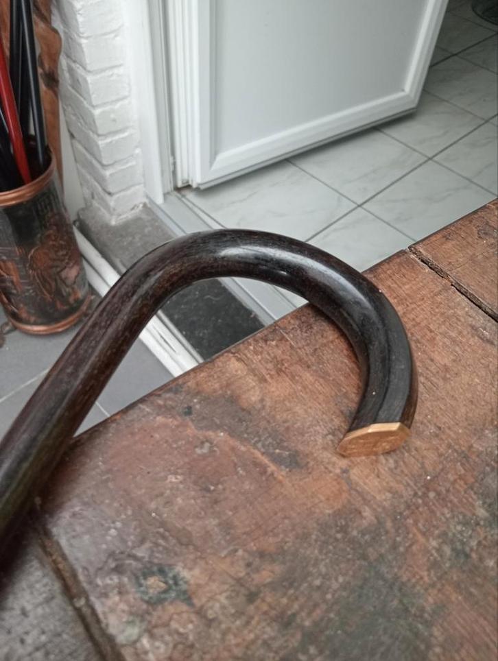 Ancienne canne ébène et or, Divers, Bâtons de marche