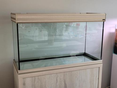 Aquarium fusion 100, Dieren en Toebehoren, Vissen | Aquaria en Toebehoren, Gebruikt, Leeg aquarium, Ophalen
