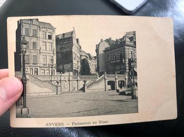 ANTWERPEN PROMENOIR DU NORD - WILLEM OGIERPLAATS (bokrijk ?) beschikbaar voor biedingen