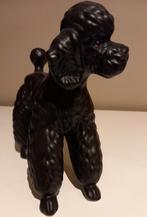 Vintage Poedel Keramiek, Enlèvement