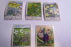 1975, bloemen, postzegels USSR, Ophalen of Verzenden