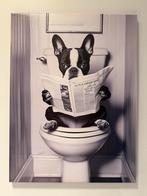 Poster ingelijst Boston Terriër op toilet met krant - retro, Ophalen of Verzenden, Nieuw, Reclamebord