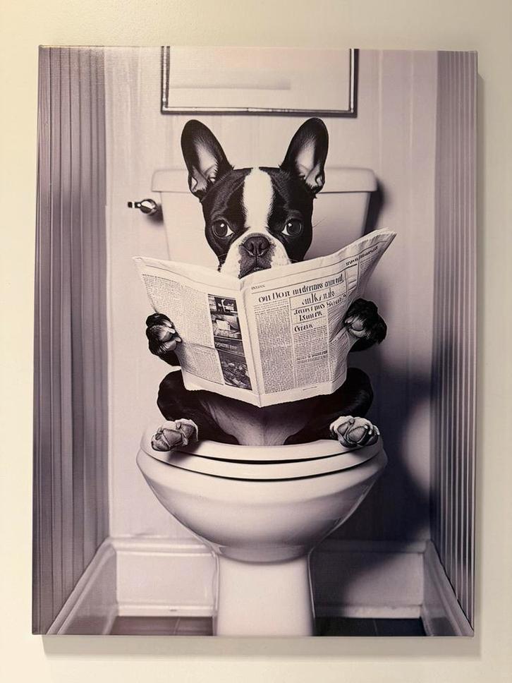 Affiche encadrée Boston Terrier aux toilettes avec journal, Collections, Marques & Objets publicitaires, Neuf, Panneau publicitaire