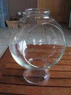 Belle cloche en verre pour y mettre des plantes., Jardin & Terrasse, Enlèvement ou Envoi, Moins de 25 cm, Rond, Comme neuf