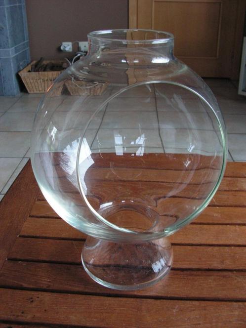 Belle cloche en verre pour y mettre des plantes., Jardin & Terrasse, Pots de fleurs, Comme neuf, Autres matériaux, Intérieur, Moins de 40 cm