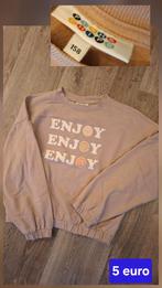 Trui Fish & Chips maat 158 oud-roze, Kinderen en Baby's, Kinderkleding | Maat 158, Ophalen of Verzenden, Gebruikt, Fish & Chips