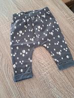 Hema broekje met bomen - 62, Kinderen en Baby's, Babykleding | Maat 62, Broekje, Jongetje of Meisje, Ophalen of Verzenden, Zo goed als nieuw