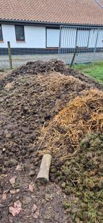 Gratis paardenmest, Tuin en Terras, Ophalen