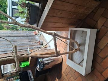 Java boom voor papegaaien  beschikbaar voor biedingen