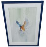 aquarel "ijsvogel" Christine Desender., Enlèvement