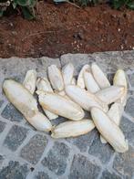 Sepia schelpen, Dieren en Toebehoren, Ophalen, Nieuw