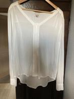 Dames hemd Tommy Hilfiger nooit gedragen maat L voor 10 eu, Vêtements | Femmes, Blouses & Tuniques, Enlèvement, Neuf, Taille 42/44 (L)