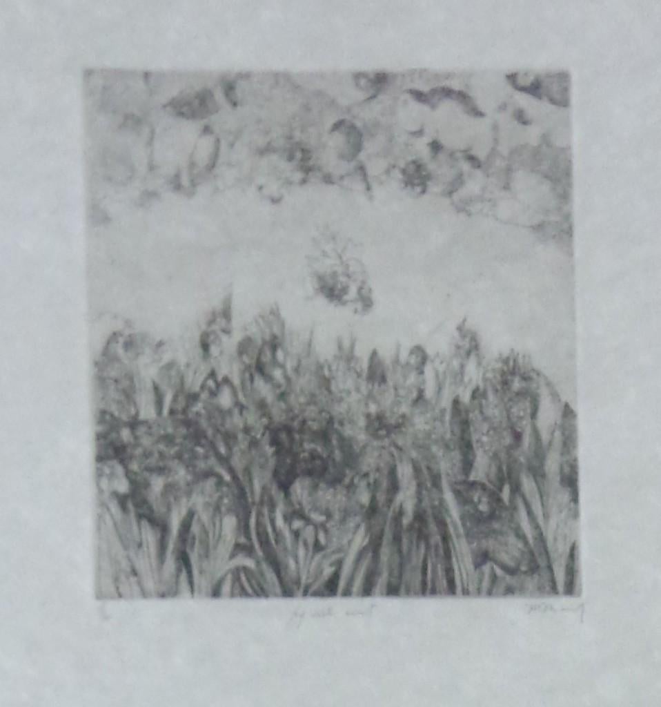 FRANS MINNAERT / HIJ WIL ERUIT / ZW-W ETS / 87x67cm / KADER, Antiek en Kunst, Kunst | Litho's en Zeefdrukken, Ophalen