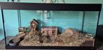 Aquarium/ terrarium 120/62/51, Ophalen, Gebruikt