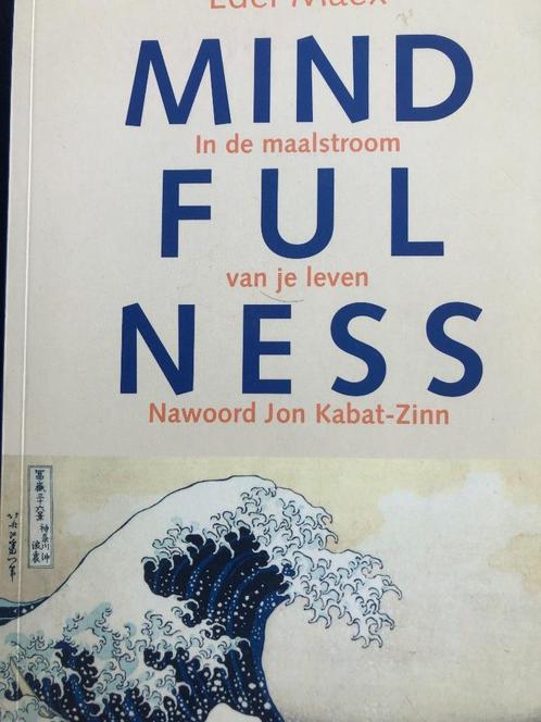 Mindfulness. In de maalstroom van je leven. Edel Maex, Boeken, Psychologie, Zo goed als nieuw, Persoonlijkheidsleer, Ophalen of Verzenden