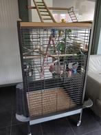 Grote Papegaaien kooi, Dieren en Toebehoren, Ophalen, Zo goed als nieuw, Aluminium, Vogelkooi