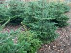 Kerstbomen nordmann, Ophalen, 100 tot 250 cm