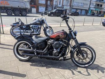 Harley Street Bob Softail Stage 1 beschikbaar voor biedingen