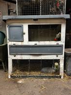 Dwergkonijnen met hok, Dieren en Toebehoren, Ophalen, 90 cm of meer, Konijn, Hok